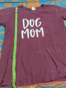 Combo Of 5 T Shirt