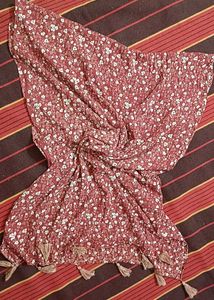 Scarf/ Stole