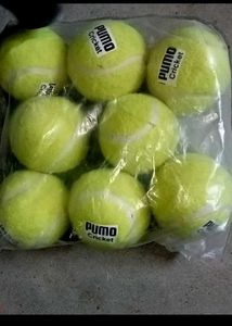 Green Tennis Ball Pack Of 8