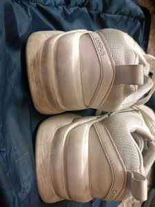 CAMPUS SHOES