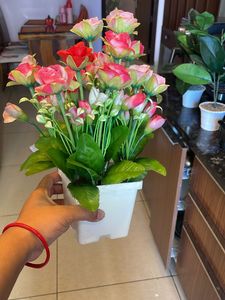 Artificial Plants
