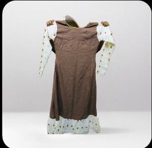 Elegant Brown Ethnic Dress