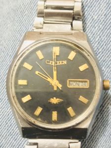 two watch Citizen Automatic seiko