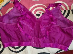 Offer Only For Today Very Comfortable New Bra
