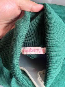 🔥Brand New Green Turtleneck Sweater