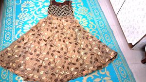 Brown   Skin Color  Organza  Dress.