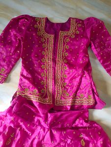 Rajputanni Handwork Pink  Lehenga Choli