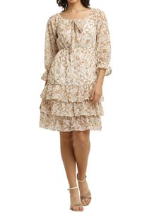 Women Shots  Sheer Brown, Beige Dress