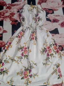 Floral Printed Women's Dress