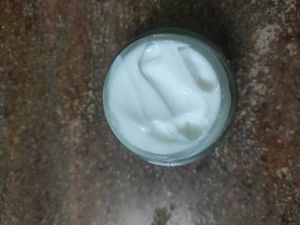 Plum 24 Hrs Moisturizer
