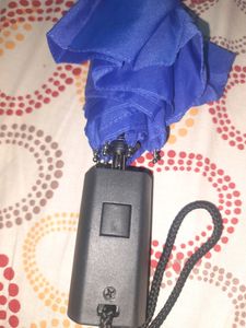 Blue Umbrella (New) with Cover