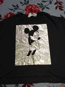 ZARA T- Shirt  (Top)