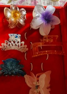 Hair Clutcher Combo OF 6