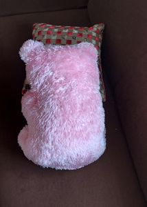 LIGHT PINK 🧸 TEDDY