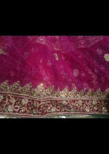 Elegant Embroidered Lehenga With Velvet Border