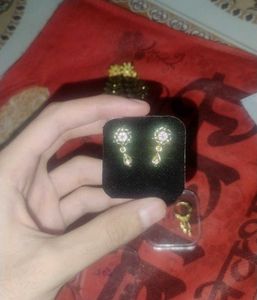 Gold Plated Earrings
