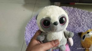 Combo Of Two Cute Toys