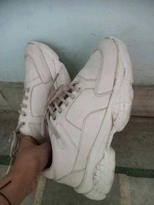 Women&#39;s sneaker shoes