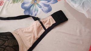Padded Branded Bra 40E