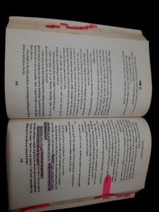 Punk 57 Novel