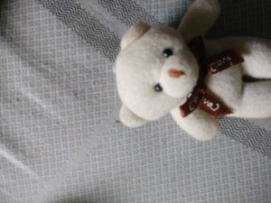 Tedy Bear Small Size