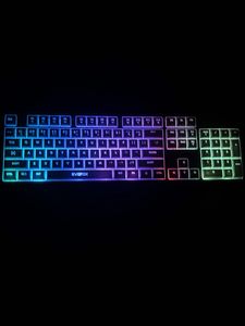 EVOFox Mechanical Keyboard