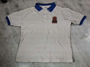Vibrant Casual Polo Tshirt Men