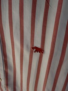 Striped Casual Shirt