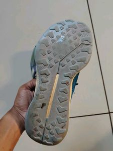 Adidas Terrex Trekking Shoes &#34;original&#34;