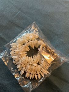 Fashion Shell Earrings