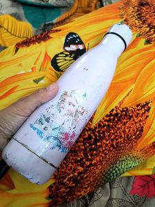 Stainless Steel Water Bottle