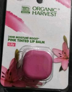 1 random products with freebie