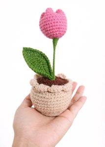 Cute Crochet tulip pot