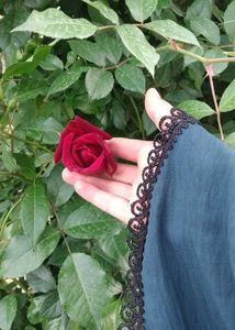 Stunning Red Rose