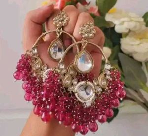 Stunning Beaded Earrings