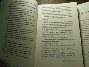 Colleen Hoover&#39;s &#39;It Ends With Us&#39; Duology