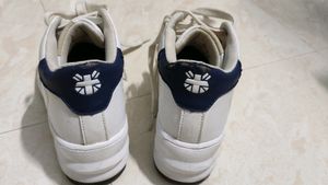 Lee Cooper Women Shoes, Size Is Uk 4