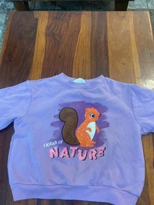 Cute Squirrel Sweatshirt