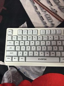 EVOFox Mechanical Keyboard