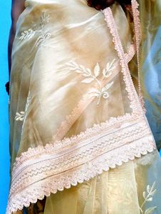 Elegant Saree