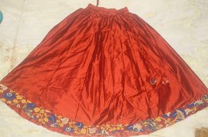 Skirt With Kalamkaari Border