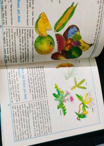kids learning book Tell Me The Answer Boo