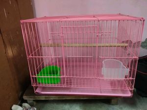 Cage For Birds
