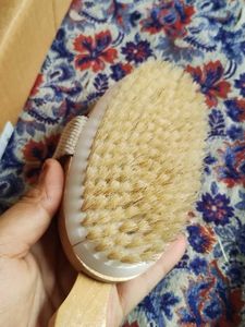 Body Brush With Detachable Handle