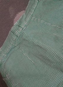 Green Gingham Cropped Pants