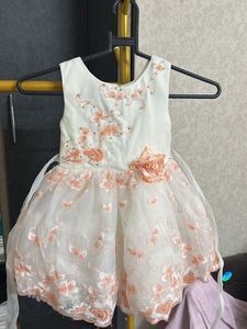 Net Embroidery Frock