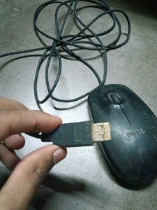 Mouse