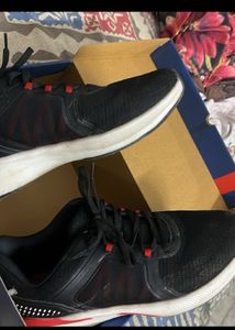 Campus Shoes