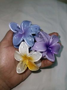 Claw Clip