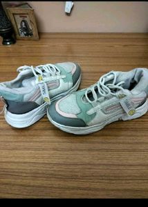 🚨Combo Casual Shoes